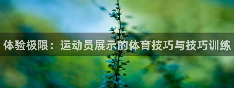 必一运动bsport体育