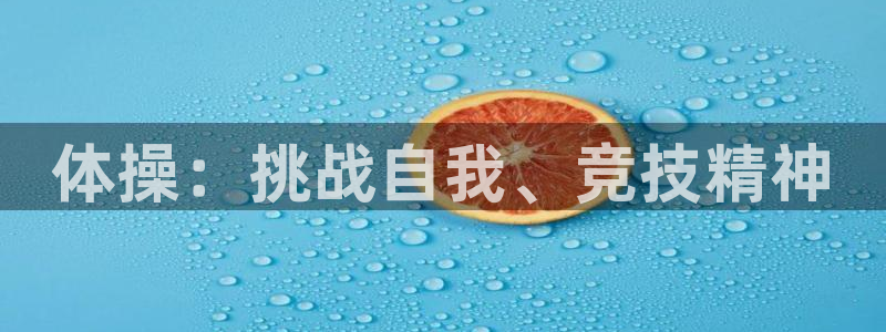 b体育必一运动官网