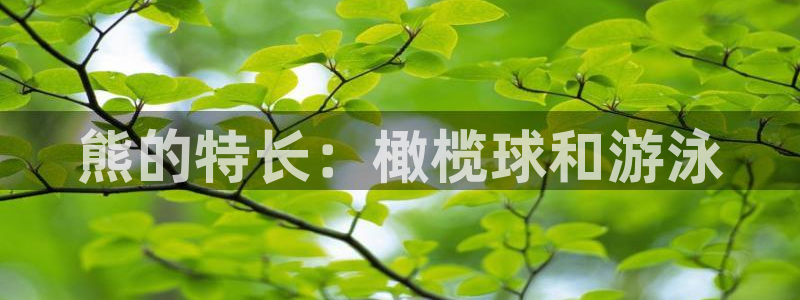 bsports官网 必一运动