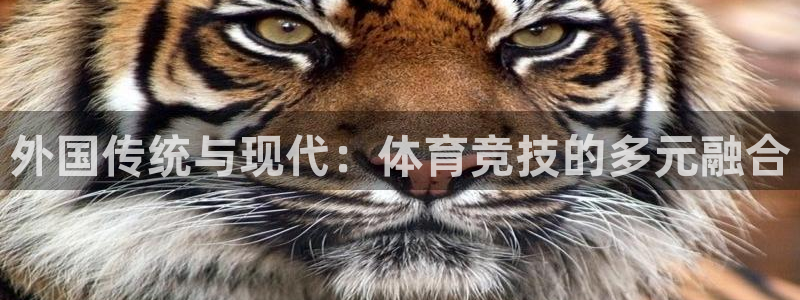 必一运动体育