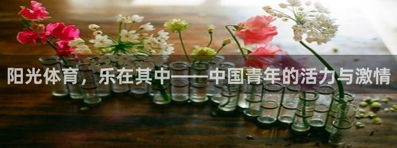 bsport必一运动