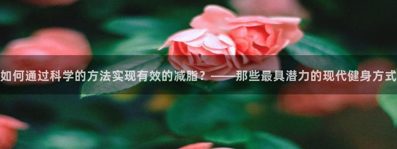bsport必一运动