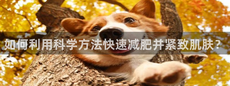 必一运动官网入口