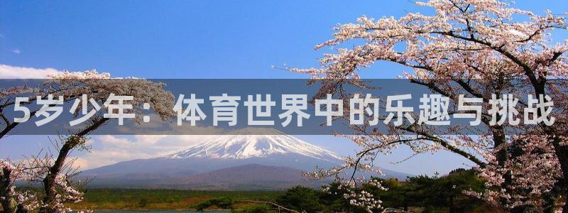 必一运动体育官网