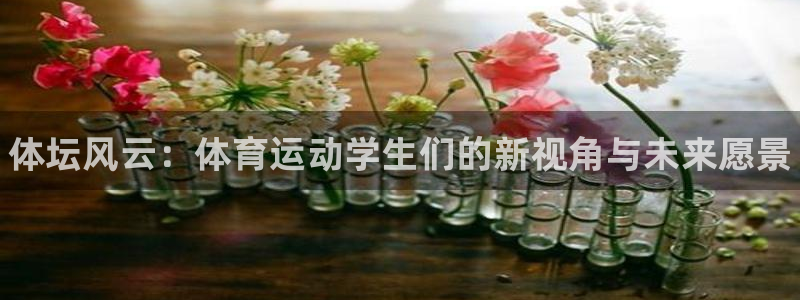 bsports官网 必一运动