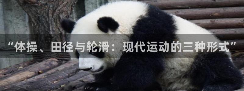 必一运动体育官网