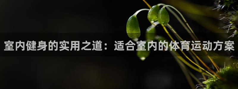 必一运动体育