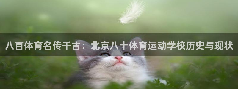 必一运动体育官网