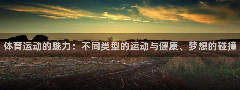 bsports官网 必一运动