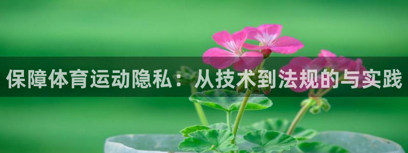 必一运动体育