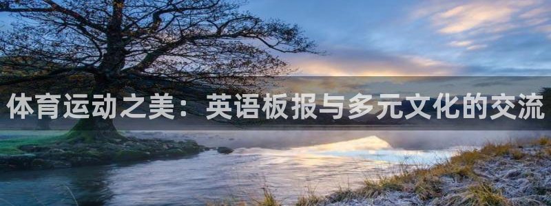 b体育必一运动官网