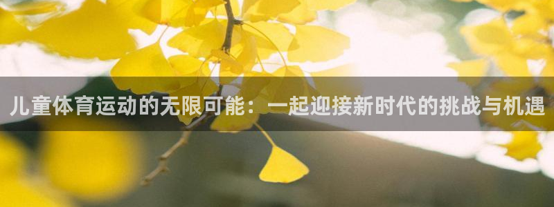 必一运动bsport体育