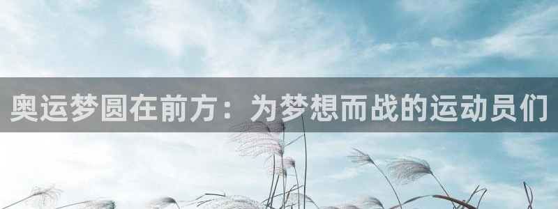 bsport必一运动