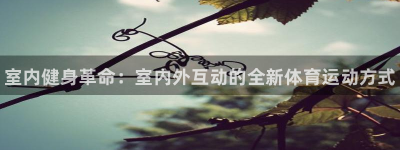 必一运动bsport体育