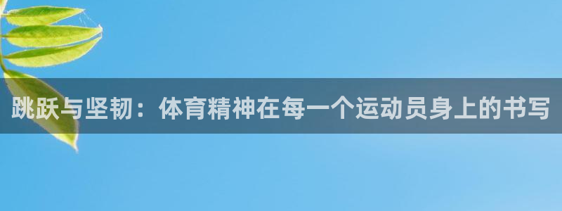 b体育必一运动官网