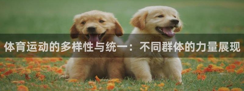 必一运动bsport体育