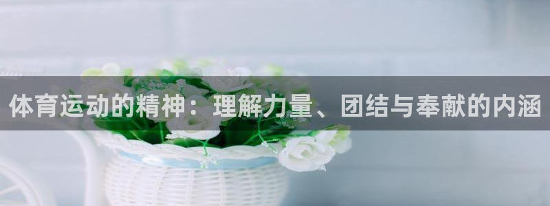 bsports官网 必一运动
