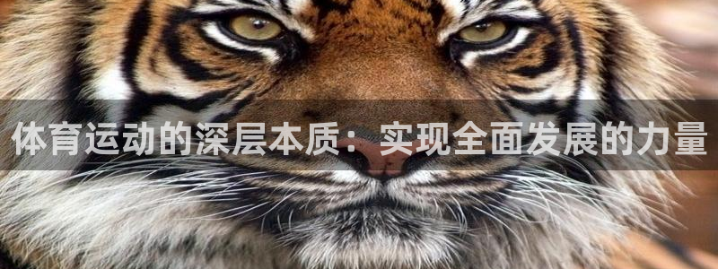 必一运动官网入口