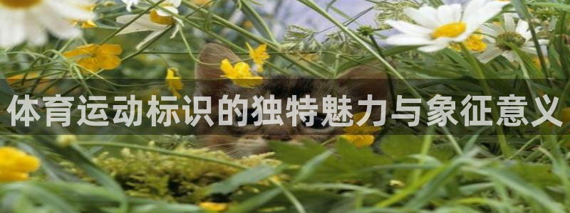 必一运动bsport体育