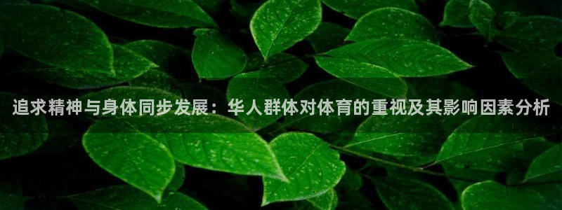 必一运动体育官网入口