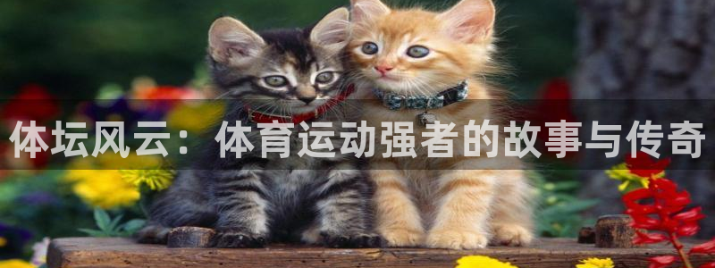 必一运动体育官网