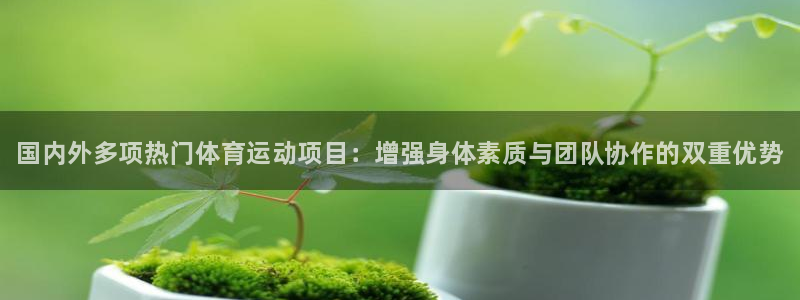 必一运动官网入口