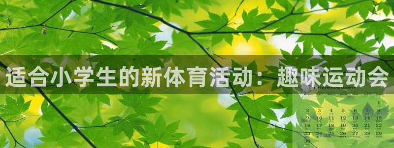 必一运动官网入口