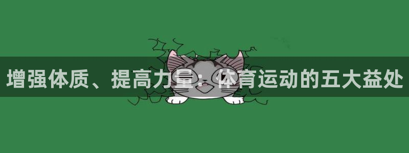 b体育必一运动官网