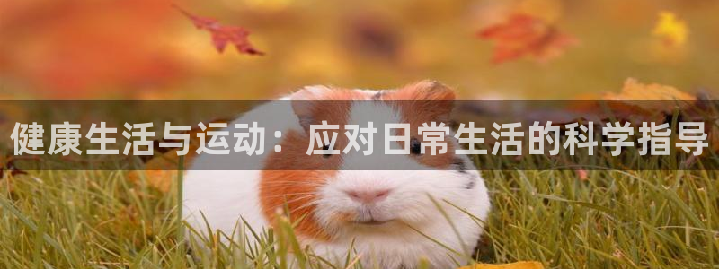 bsports官网 必一运动