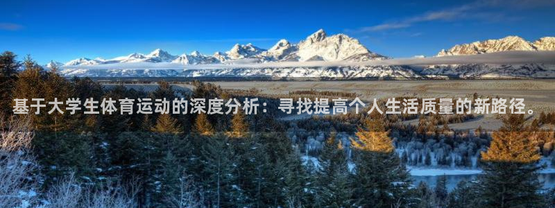 必一运动体育官网
