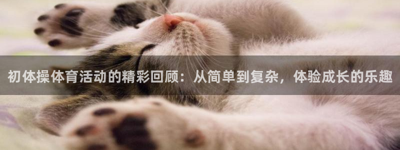必一运动体育
