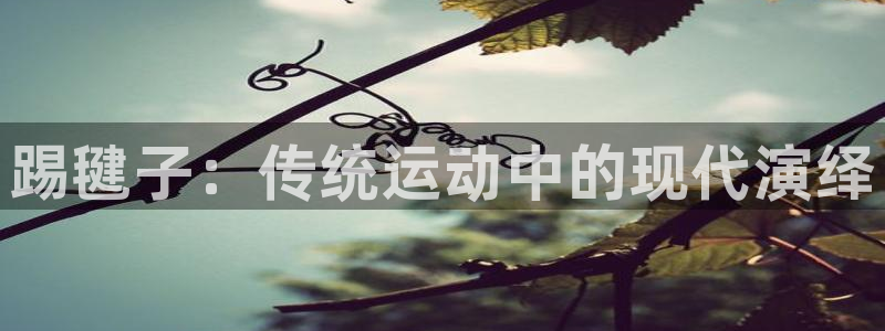bsports官网 必一运动