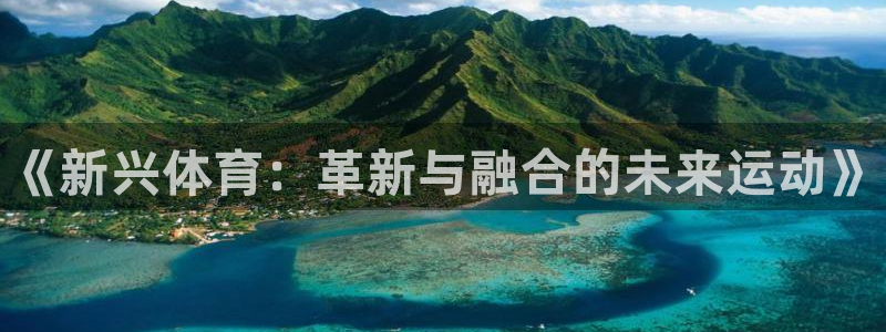 必一运动体育官网入口
