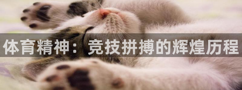 b体育必一运动官网