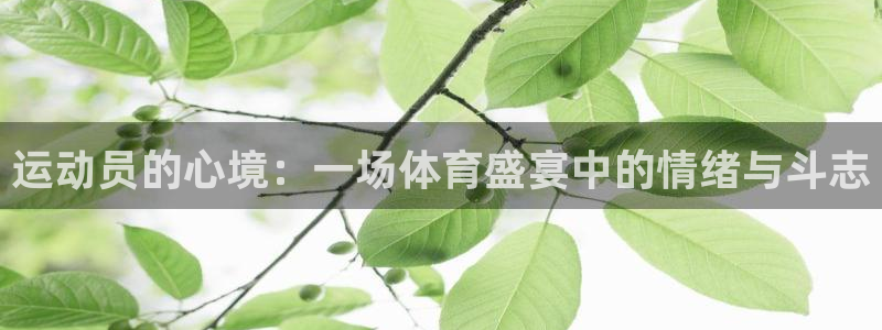 bsport必一运动